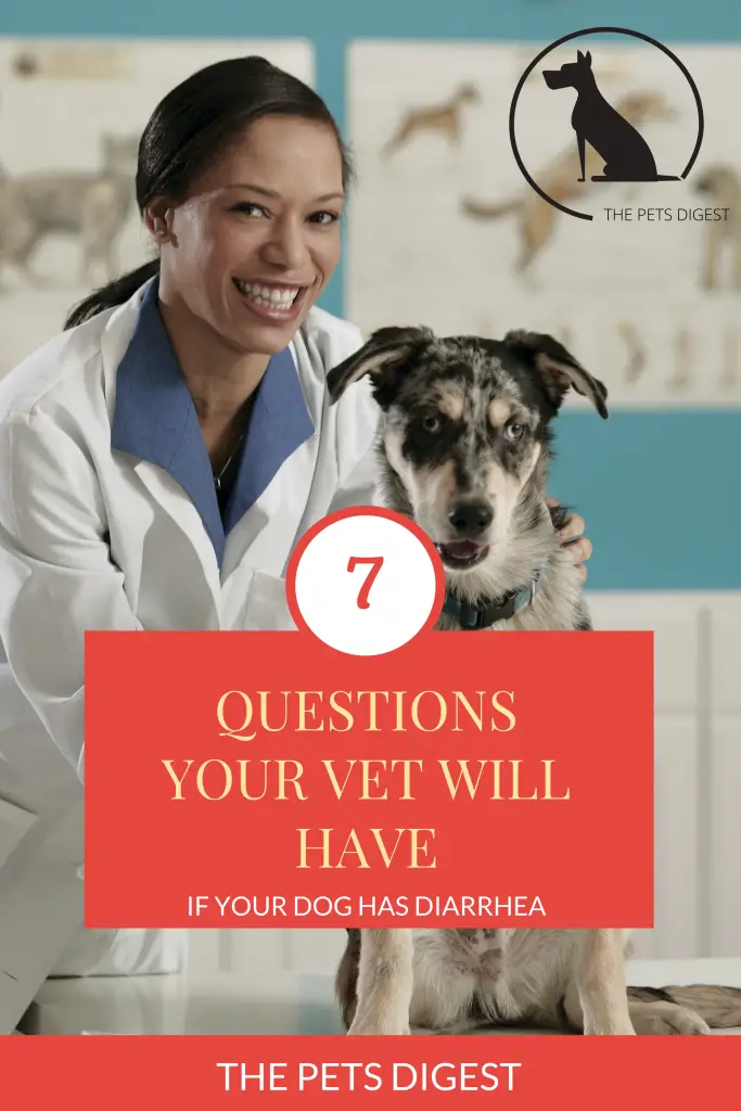 7 questions your vet will have if your dog has diarrhea