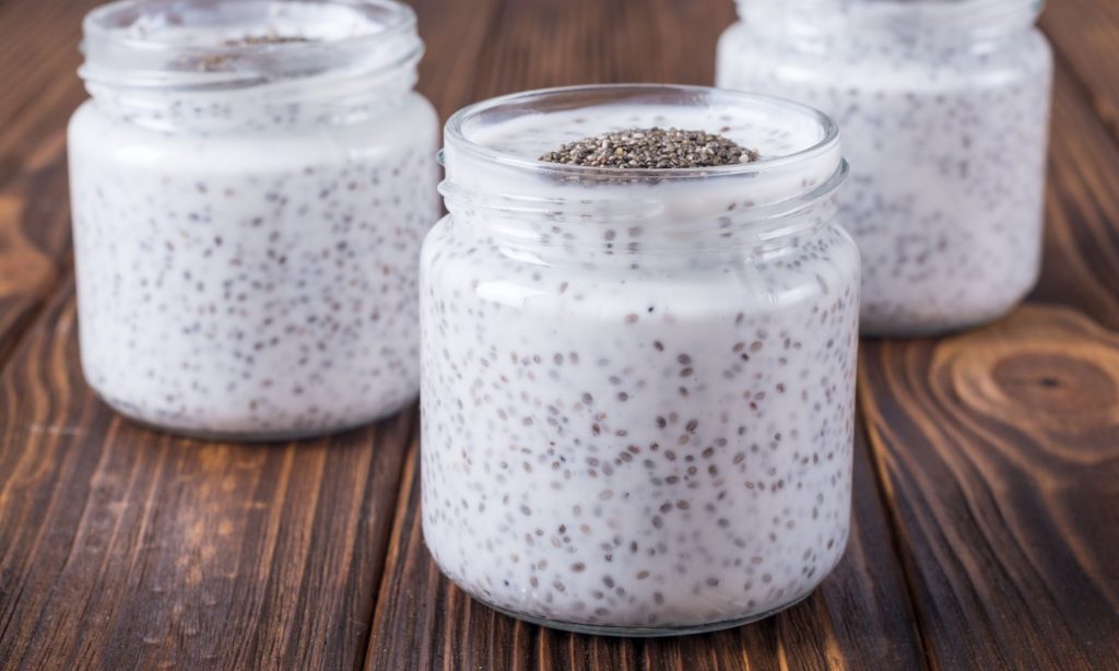 dogs chia seed pudding