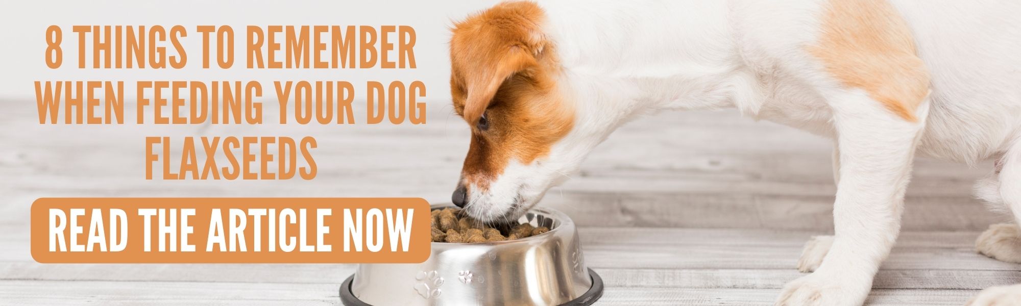 Dogs and Flaxseeds How to safely feed your dog flaxseeds