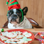 dog christmas cookies