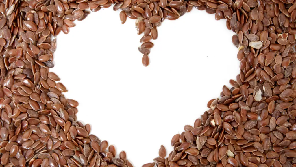 Is Flax Seed Safe To Feed Dogs? 8 Things to Keep in Mind The Pets Digest