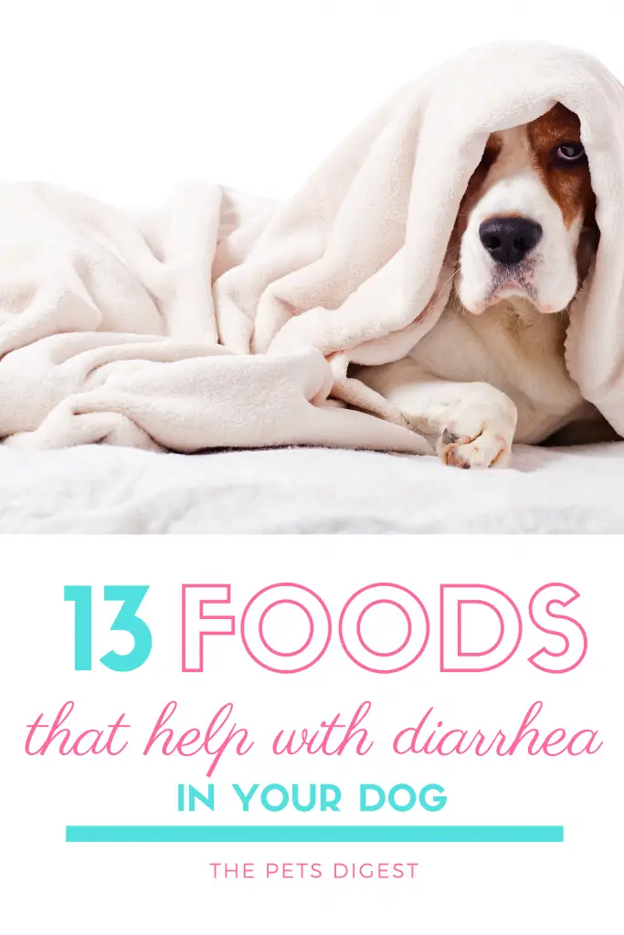 13 foods for diarrhea