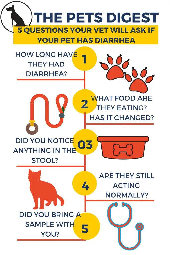 chart about diarrhea in dogs