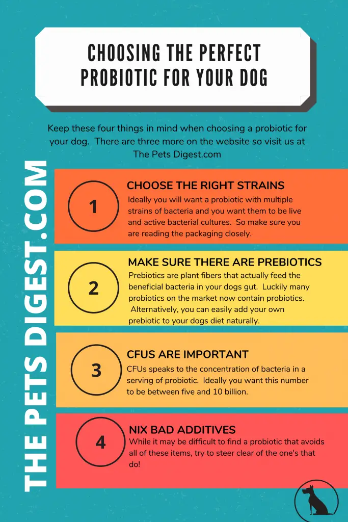 chart about choosing probiotics for your dog