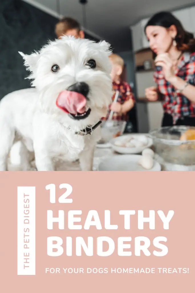 Family making dog treats for dog