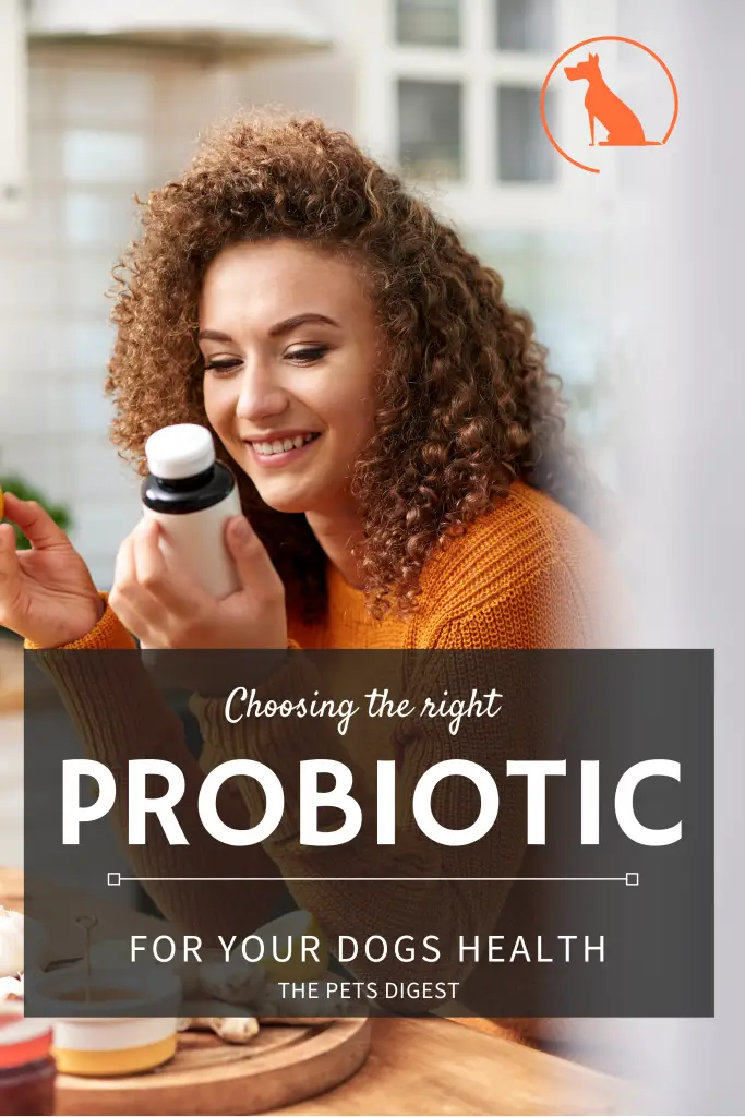 woman looking at pills probiotic dogs