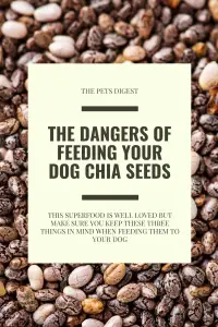 Can dogs eat chia seeds