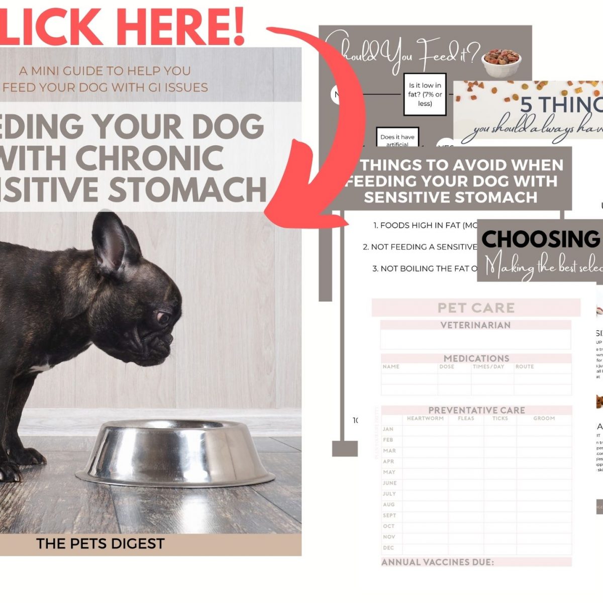 Colitis in dogs best foods,symptoms,stress colitis in dogs