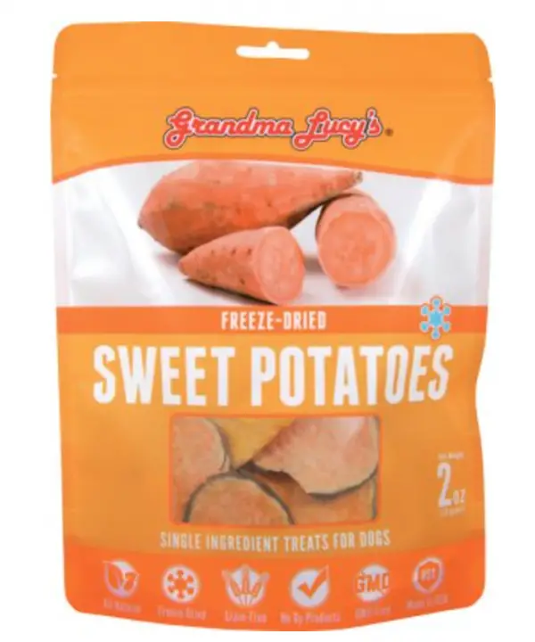 What a veterinarian feeds her dog with pancreatitis The Pets Digest