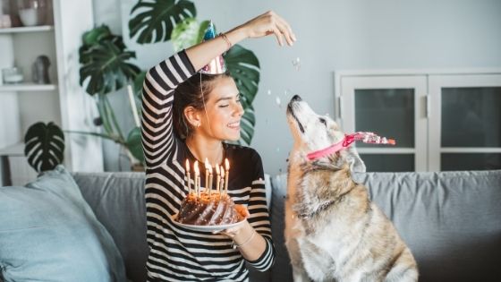 20 Unusual and Unique gifts for dog lovers