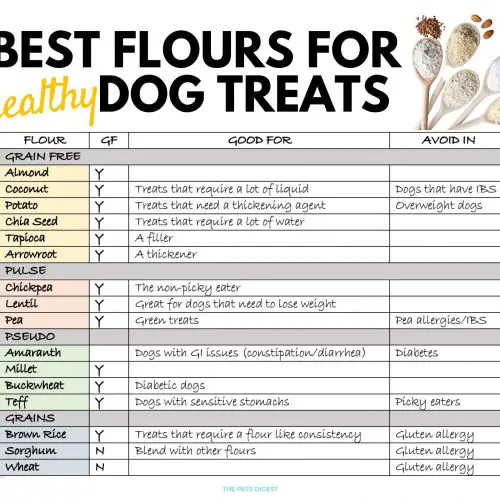 The best flours to use in your homemade dog treat recipes
