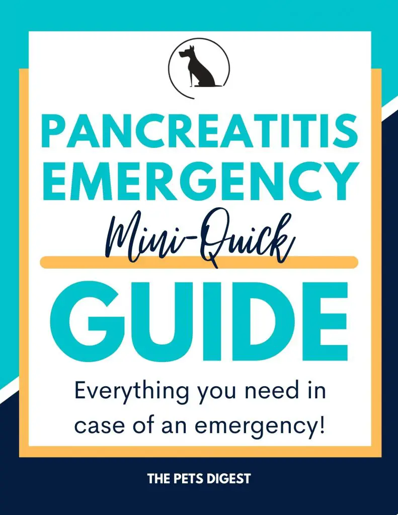 pancreatitis dogs guide