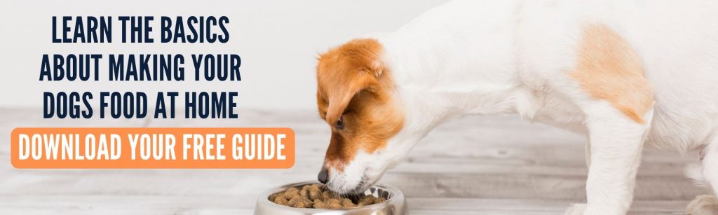 homemade dog food