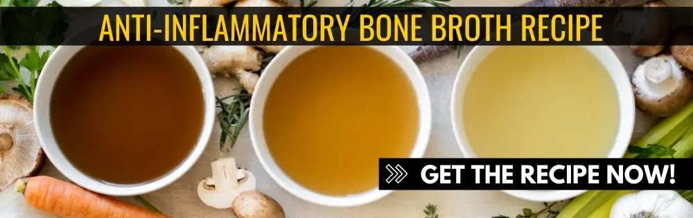 bland diet for dogs bone broth