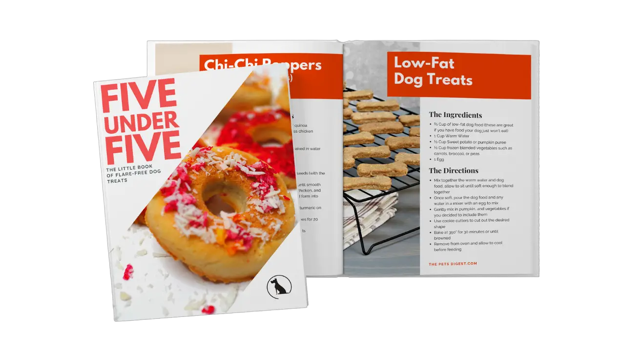 12 Binders to use in your homemade dog treats