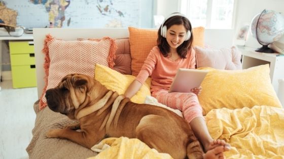 So, You Want To Be A Pet Blogger?  Start Here