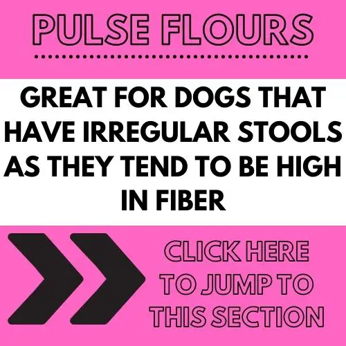 18 of the best flours to use in your homemade dog treats The Pets Digest