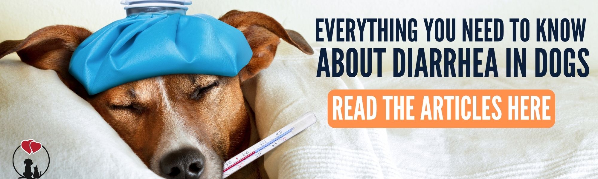 5 safe over the counter meds for vomiting & diarrhea in dogs
