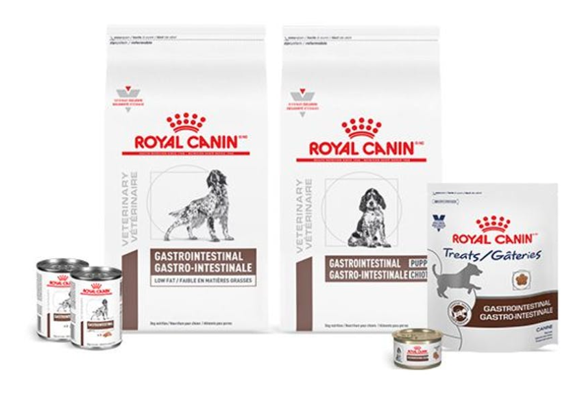 royal canin gastrointestinal food for dogs