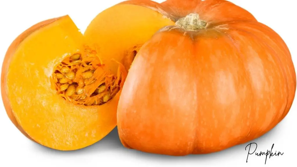 Bland diet for dogs pumpkin