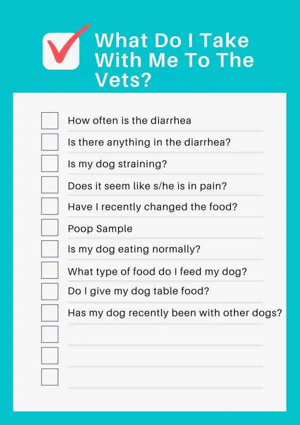 Colitis in dogs best foods,symptoms,stress colitis in dogs