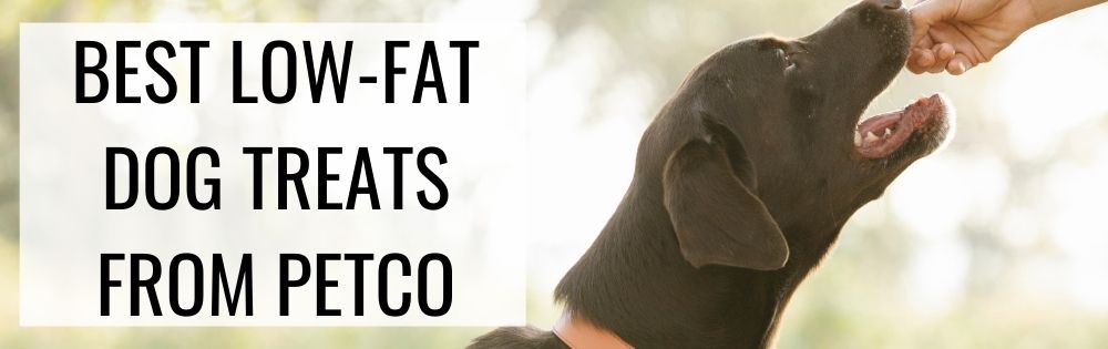 LOW FAT DOG TREATS