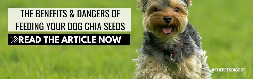 DOG CHIA SEEDS