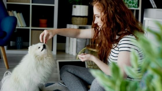 woman feeding dog dog food