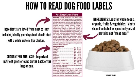 reading dog food labels