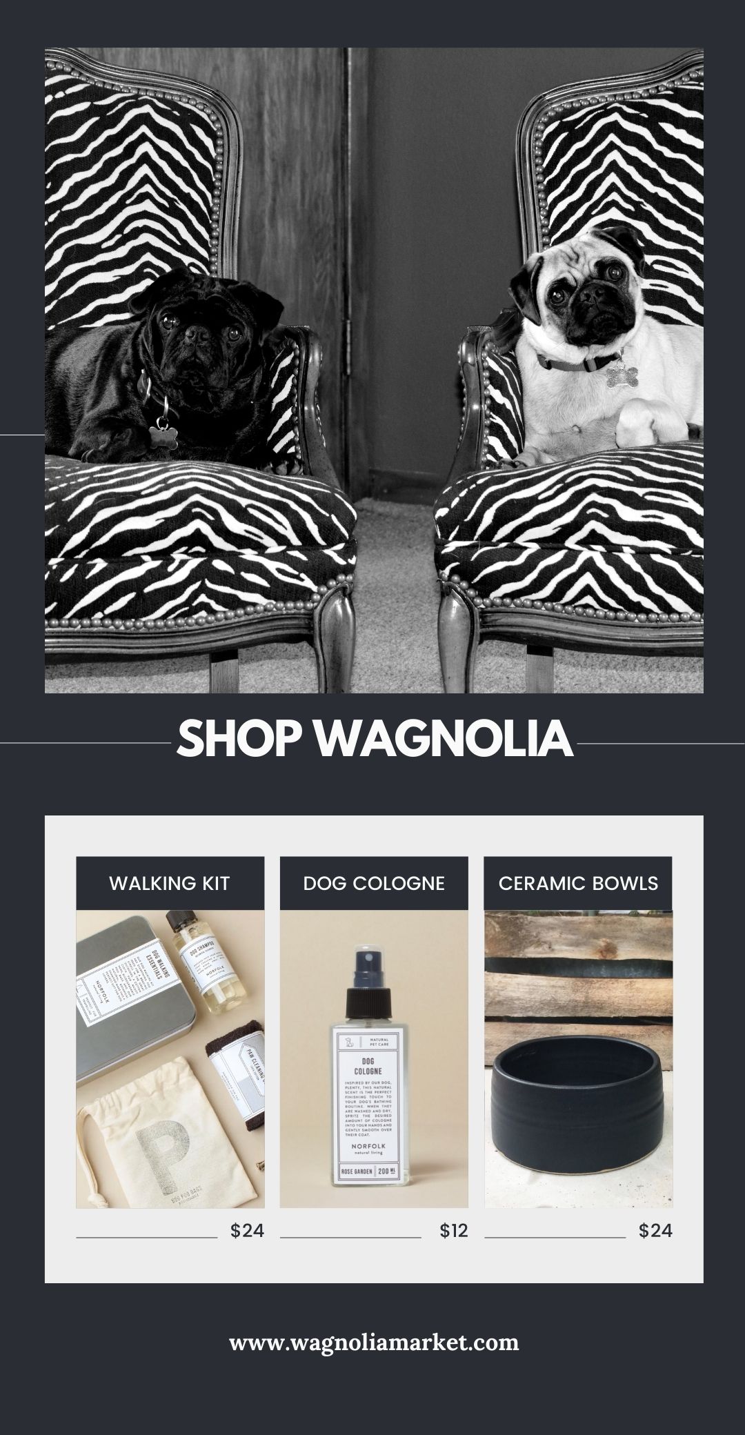 18 of the best flours to use in your homemade dog treats The Pets Digest