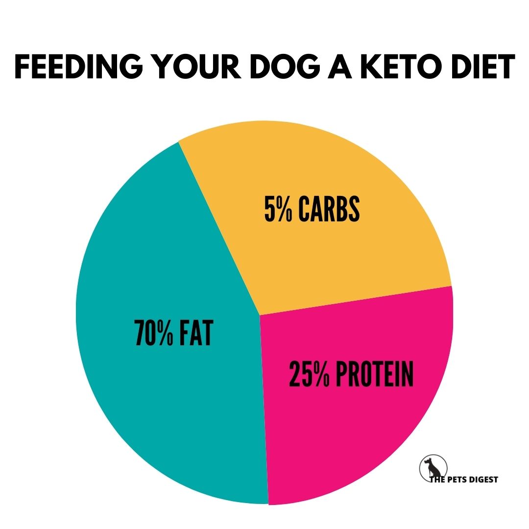 Ketogenic diets for dogs Your guide to a keto dog for dogs