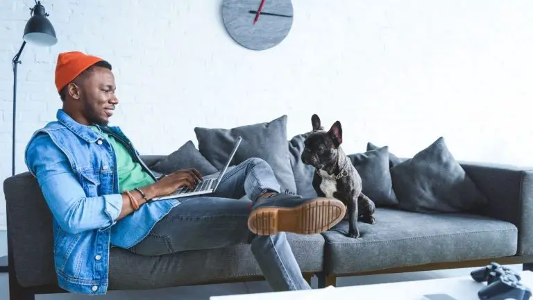 feeding dog vitamins