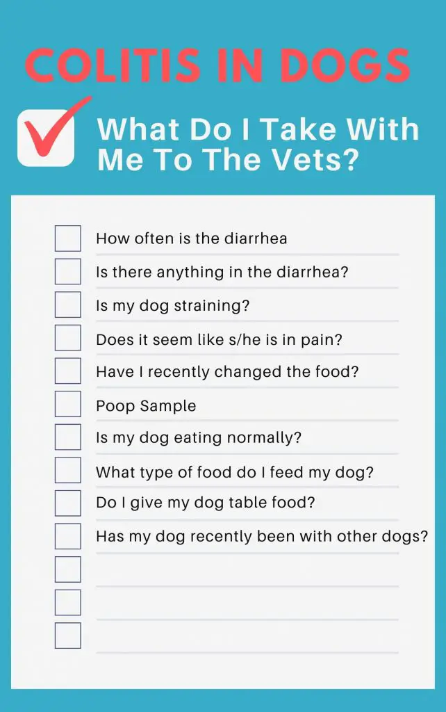 colitis in dogs checklist
