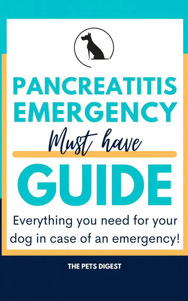 pancreatitis guide