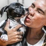 Feeding your dog for a strong immune system