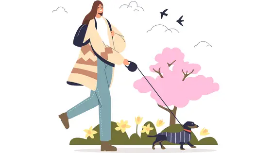 cartoon woman walking dog