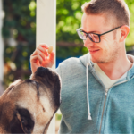 man feeding a dog