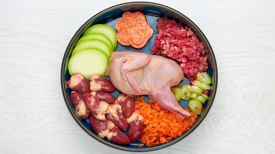 raw dog food in bowl human food for dogs in a bowl