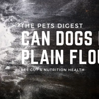dogs and flour