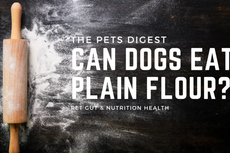 dogs and flour