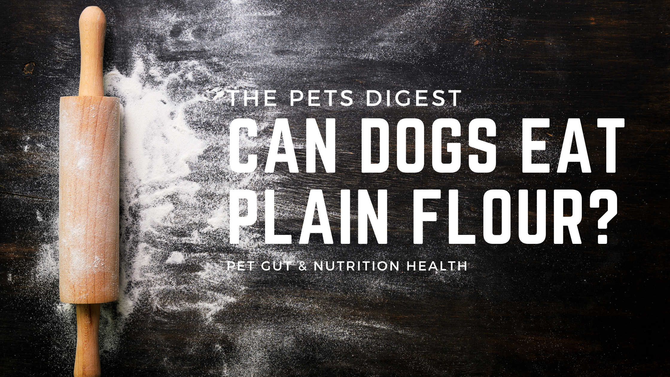 Is plain all-purpose flour safe for dogs?